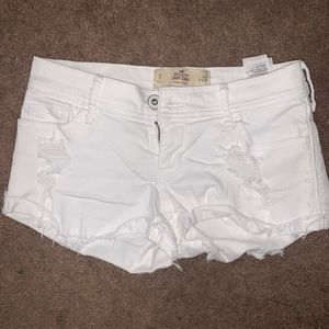 Hollister shorts